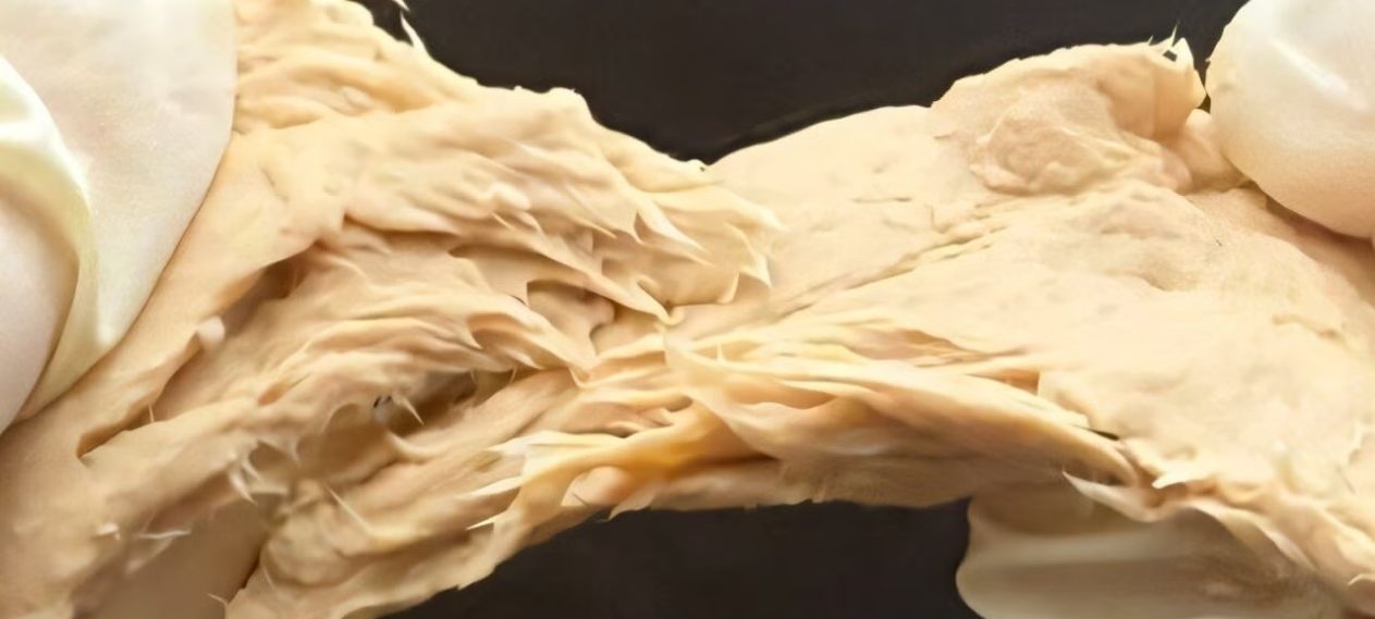 Chinese Scientists Create Meat-Like Protein That Could Replace Chicken