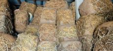 FBR Seizes 3,000 Illegal Tobacco Bales in Abbottabad