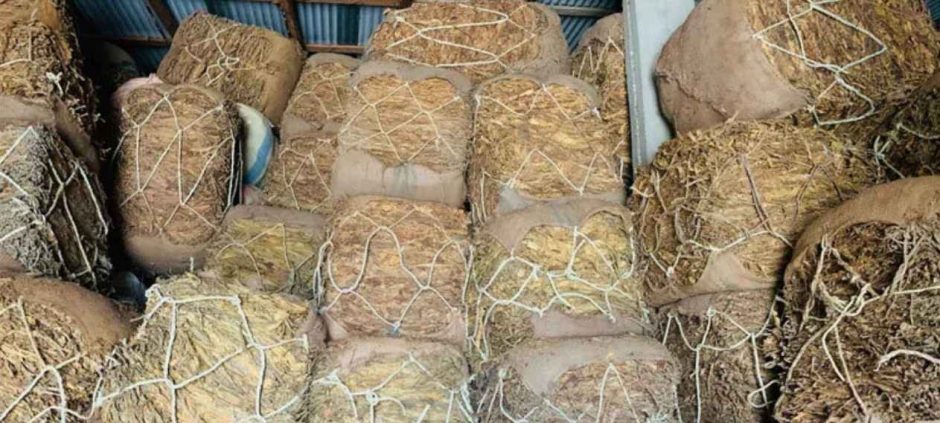 FBR Seizes 3,000 Illegal Tobacco Bales in Abbottabad