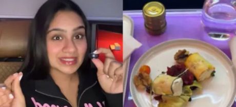 Flies Reported in Air India Business-Class Meal