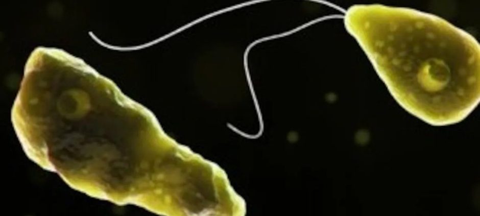 Kerala Gripped by Deadly Surge as ‘Brain-Eating Amoeba’ Claims 42 Lives in 2025