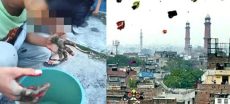 Kite Strings Injure two in Lahore Before Basant