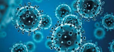 NIH Warns Public as Influenza Cases Increase Nationwide