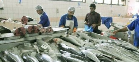 Pakistan’s Seafood Industry Faces Another Year of EU Ban