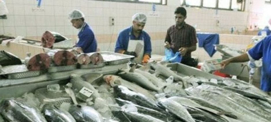 Pakistan’s Seafood Industry Faces Another Year of EU Ban