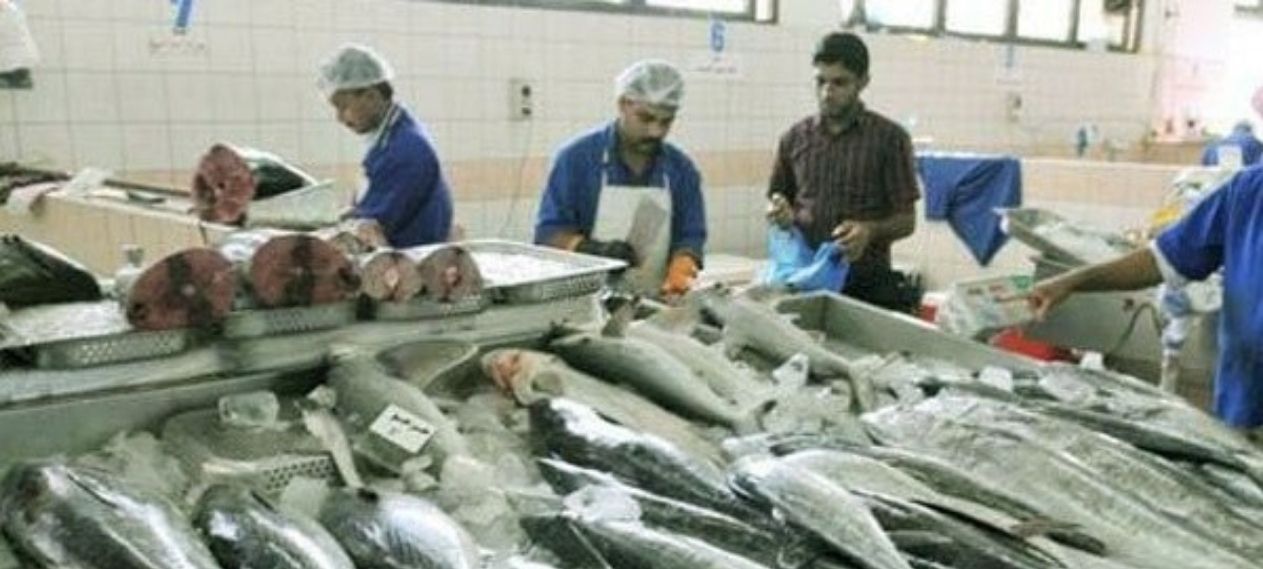 Pakistan’s Seafood Industry Faces Another Year of EU Ban