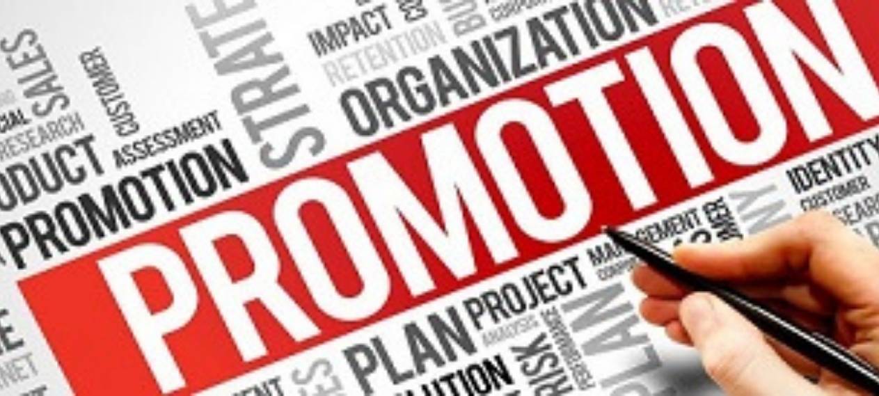 Punjab Government Orders Promotions What Does It Mean for Employees Punjab Government Orders Promotions What Does It Mean for Employees