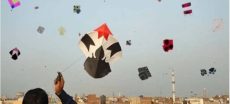 Punjab Starts Registration Process To Regulate Kite Flying Before Basant