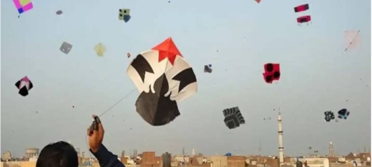 Punjab Starts Registration Process To Regulate Kite Flying Before Basant