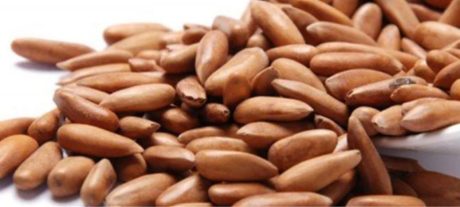 Thieves Steal Pine Nuts Worth Rs3.85 Million in Gujranwala