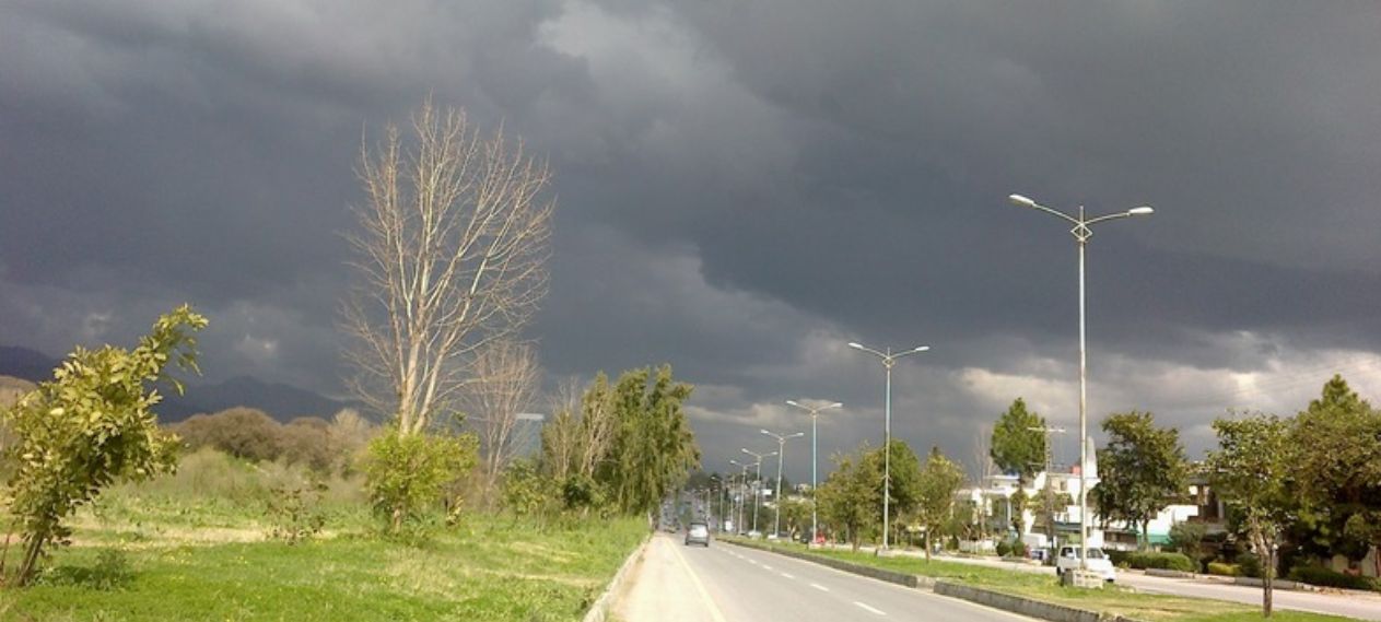 Pollen Count Islamabad: Reveal The Hidden Triggers Behind Your Seasonal Allergies