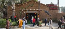Lions Roar And Reptiles Thrive As Karachi Zoo Reopens For Visitors