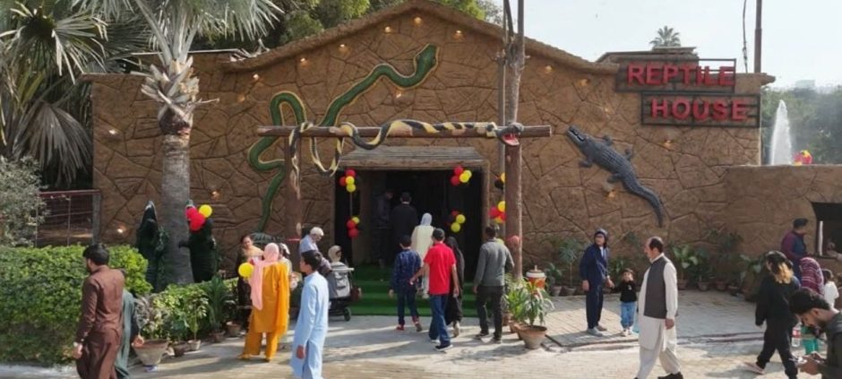 Lions Roar And Reptiles Thrive As Karachi Zoo Reopens For Visitors