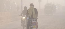 1. Punjab Roads Turn Lethal As Thick Smog Causes 39 Casualties