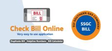 Smart Solutions And Quick Fixes To Check Your SSGC Duplicate Bill