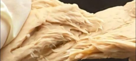 Scientists Develop Chicken-Like Meat Using Fungi and Fermentation