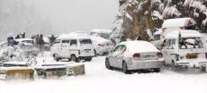 Check When Murree Will Have Snowfall To Plan Trips