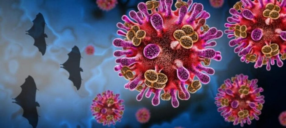 Common Symptoms Of Nipah Virus That Everybody Should Know