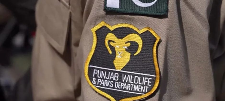 Deer Meat Suppliers Arrested in Lahore by Punjab Wildlife Department