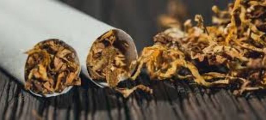 Government Honors Pakistan Tobacco Company as Leading Exporter