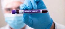Is Nipah Virus More Lethal Than Covid 19?