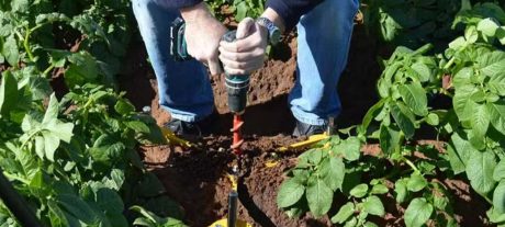 Khyber Pakhtunkhwa Farmers See 20% Yield Increase With Sensors