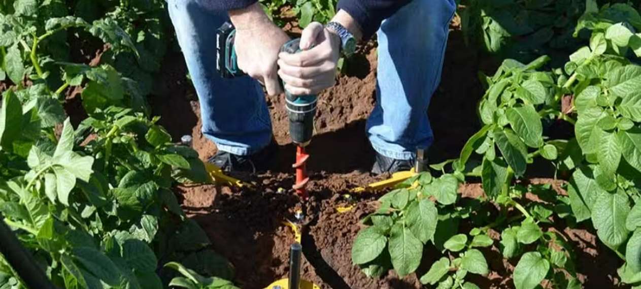 Khyber Pakhtunkhwa Farmers See 20% Yield Increase With Sensors