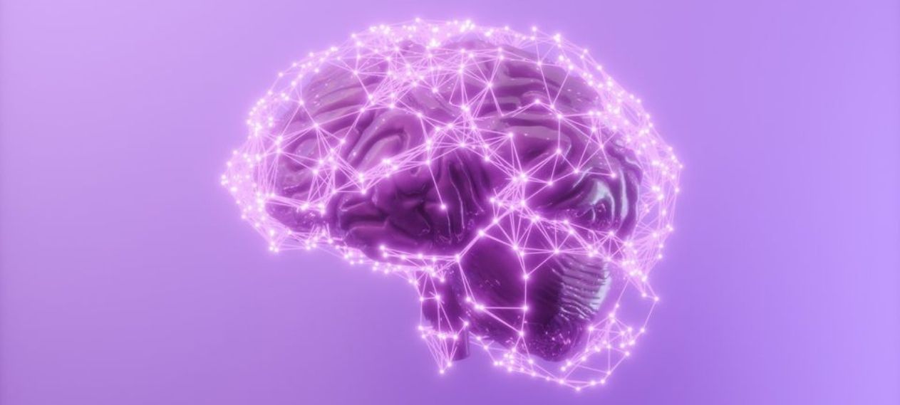 Lower Sodium Levels Linked to Higher Brain Excitability, Study Finds