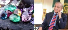 Pakistan’s $450bn Gem Potential PM Shehbaz Sets New Plan