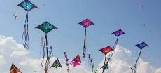 Another City to Get Basant Festival from February 13 to 15