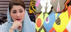 CM Maryam Stresses Safety to Avoid Basant Tr@gedies