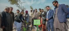 Green Punjab Drive Launches 500,000 Trees in Margalla Hills