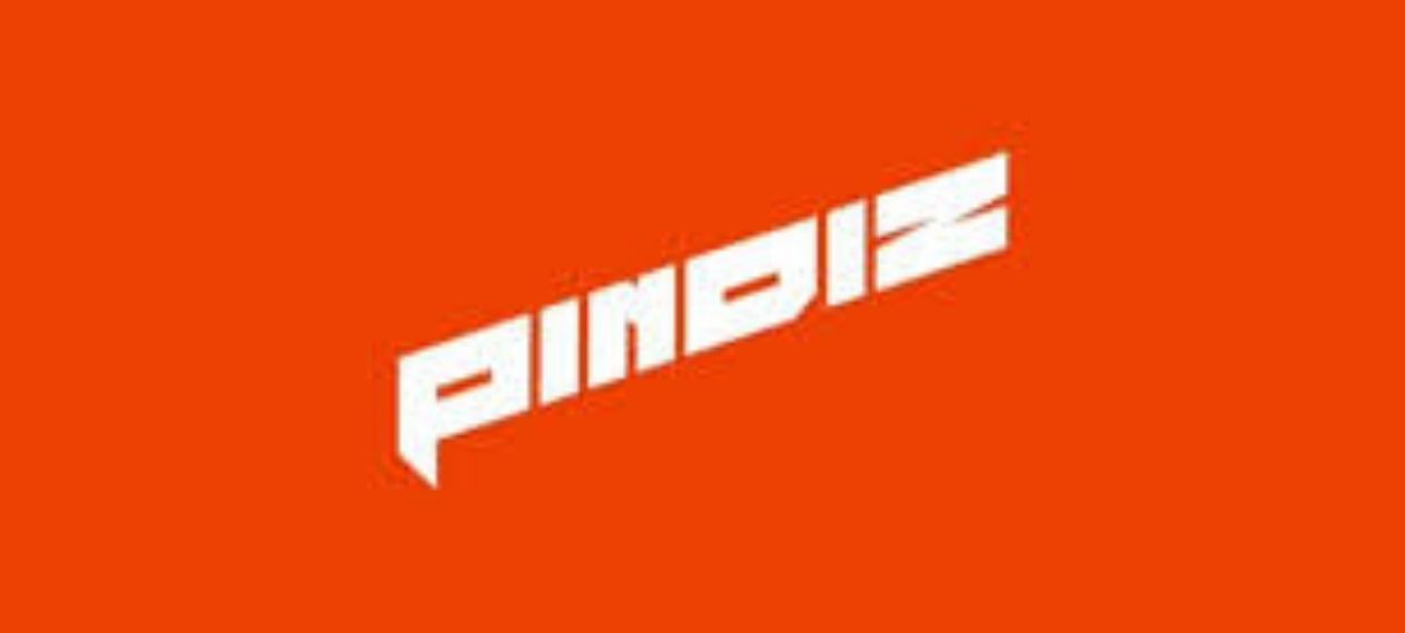 Pindiz to Unveil Official Logo Soon Pindiz to Unveil Official Logo Soon