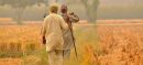 Punjab Launches Free Land Scheme for Farmers