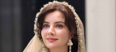 Rabi Pirzada Harassed in Defence, Suspect Arrested by Police