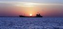 Iran Opens Strait of Hormuz for 20 Plus Pakistani Ships