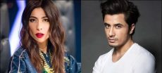 Meesha Shafi Requests Court to Dismiss Ali Zafar Defamation Case