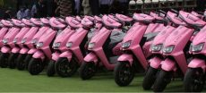 Sindh Announces Date for Free Pink Scooters Distribution