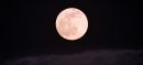 April Pink Moon Rises Tonight Peak Visibility at 312 AM
