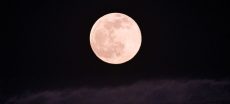 April Pink Moon Rises Tonight Peak Visibility at 312 AM