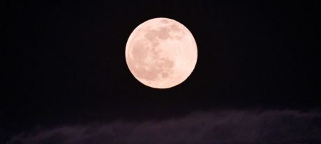 April Pink Moon Rises Tonight Peak Visibility at 312 AM