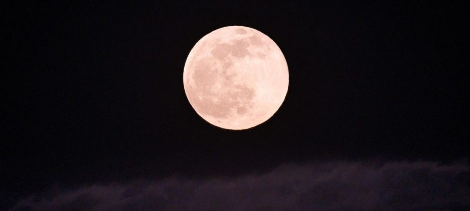 April Pink Moon Rises Tonight Peak Visibility at 312 AM