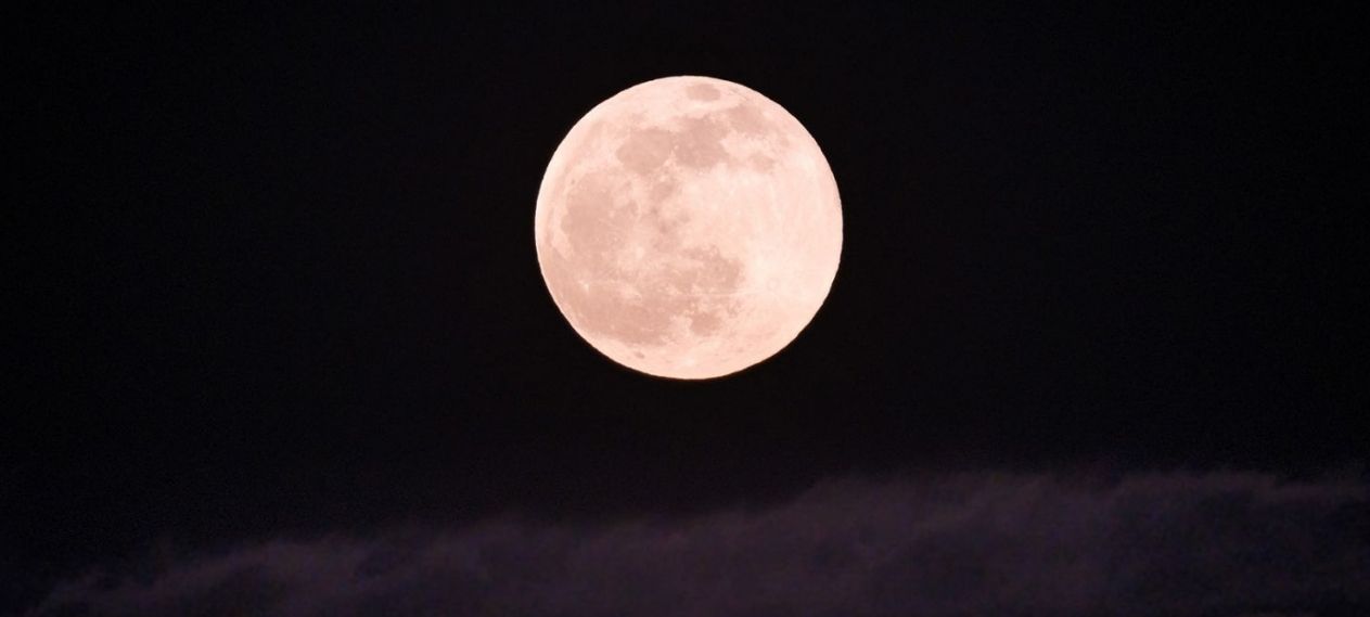 April Pink Moon Rises Tonight Peak Visibility at 312 AM