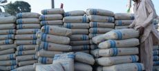Cement Prices Drop Across Pakistan – Check Latest Prices
