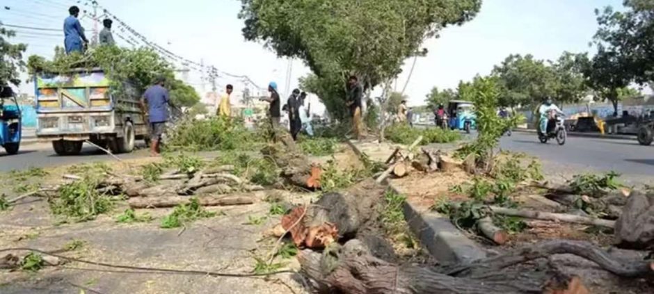 IHC Receives Contempt Petition Against CDA Chairman