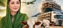 Maryam Nawaz Sharif Announces Plan to Export 1 Million Livestock from Punjab
