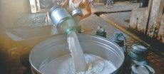 Milk and Yogurt Prices Surge Above Official Rates in Markets