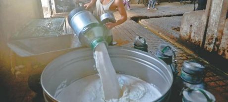 Milk and Yogurt Prices Surge Above Official Rates in Markets