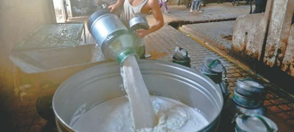 Milk and Yogurt Prices Surge Above Official Rates in Markets