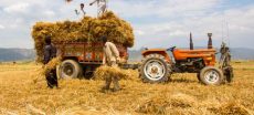 Pakistan Kissan Ittehad Warns of Protests Over Wheat Losses and Demands Reform